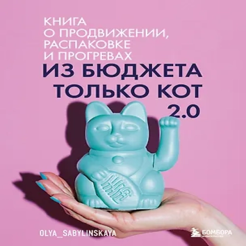 Из бюджета только кот 2.0. Книга о продвижении, распаковке и прогревах